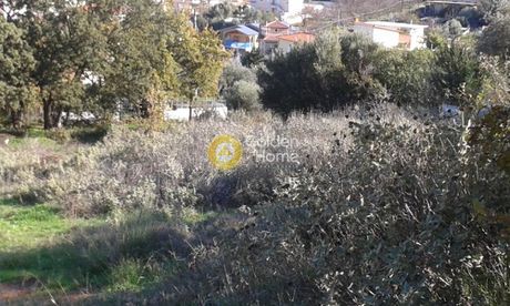 Οικόπεδο 928 τ.μ. για πώληση