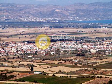 Αγροτεμάχια 8.000τ.μ. για πώληση-Αλμυρός » Νέος πλάτανος