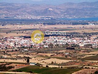 Αγροτεμάχια 8.000 τ.μ. για πώληση