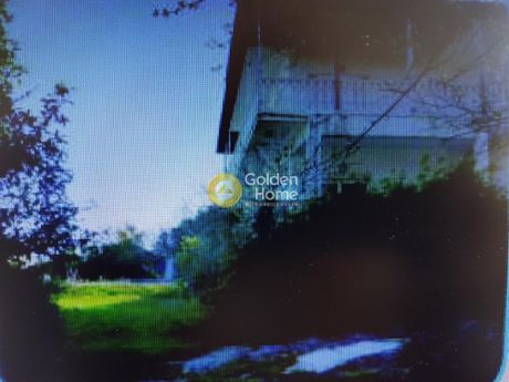 Μονοκατοικία 400τ.μ. για πώληση-Βεργίνα » Πλαταμώνας