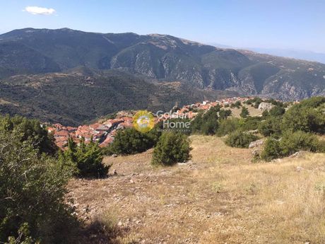 Οικόπεδο 2.453τ.μ. για πώληση-Αράχοβα » Αράχοβα