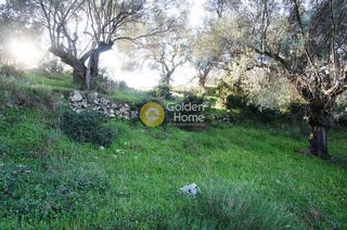 Οικόπεδο 4.200 τ.μ. για πώληση, Ν. Λευκάδας, Λευκάδα-thumb-2