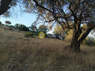 Οικόπεδο 4.200 τ.μ. για πώληση, Ν. Λευκάδας, Λευκάδα-thumb-3