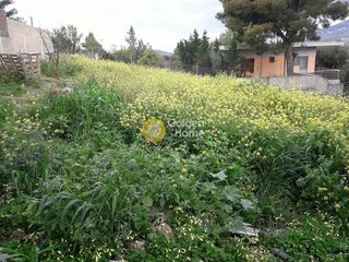 Αγροτεμάχια 292 τ.μ. προς πώληση
