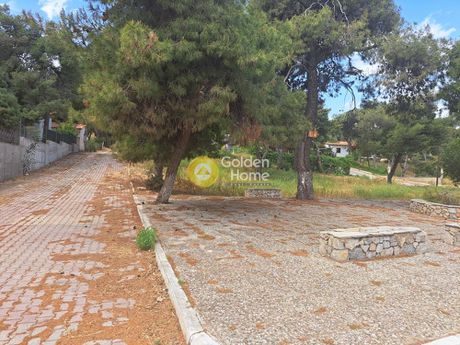 Αγροτεμάχια 480 τ.μ. για πώληση