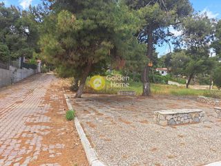 Αγροτεμάχια 480 τ.μ. για πώληση