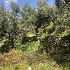 Αγροτεμάχια 4.160 τ.μ. προς πώληση, Περιβολάκια Καλαμάτας-thumb-13