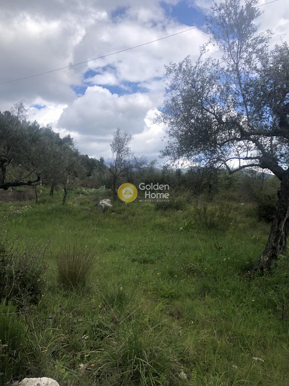 Αγροτεμάχια 4.160 τ.μ. προς πώληση, Περιβολάκια Καλαμάτας
