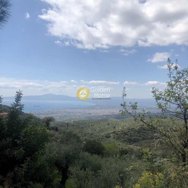 Αγροτεμάχια 4.160 τ.μ. προς πώληση, Περιβολάκια Καλαμάτας