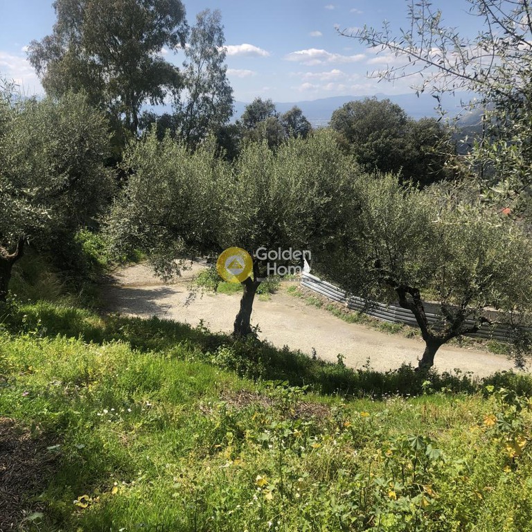 Αγροτεμάχια 4.160 τ.μ. προς πώληση, Περιβολάκια Καλαμάτας