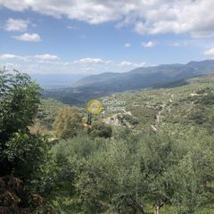 Αγροτεμάχια 4.160 τ.μ. προς πώληση, Περιβολάκια Καλαμάτας-thumb-14