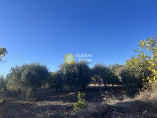 Οικόπεδο 843 τ.μ. για πώληση