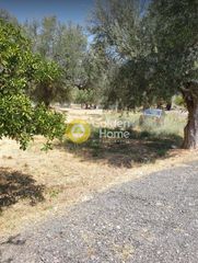 Οικόπεδο 476 τ.μ. προς πώληση, Μαυρομανδήλα-thumb-9
