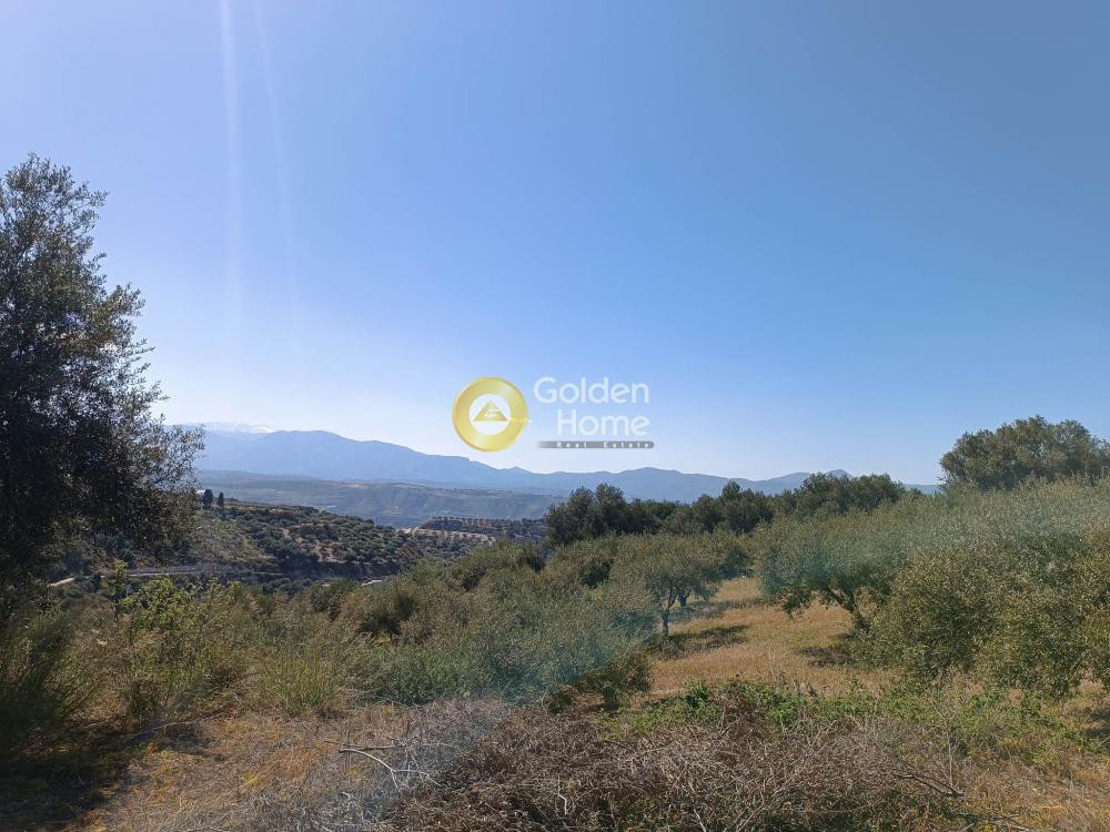 Οικόπεδο 1.500 τ.μ. προς πώληση, Βασιλείες
