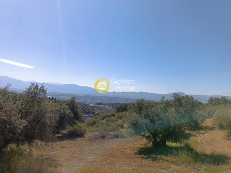Οικόπεδο 1.500 τ.μ. προς πώληση