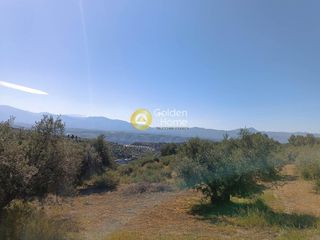 Οικόπεδο 1.500 τ.μ. για πώληση