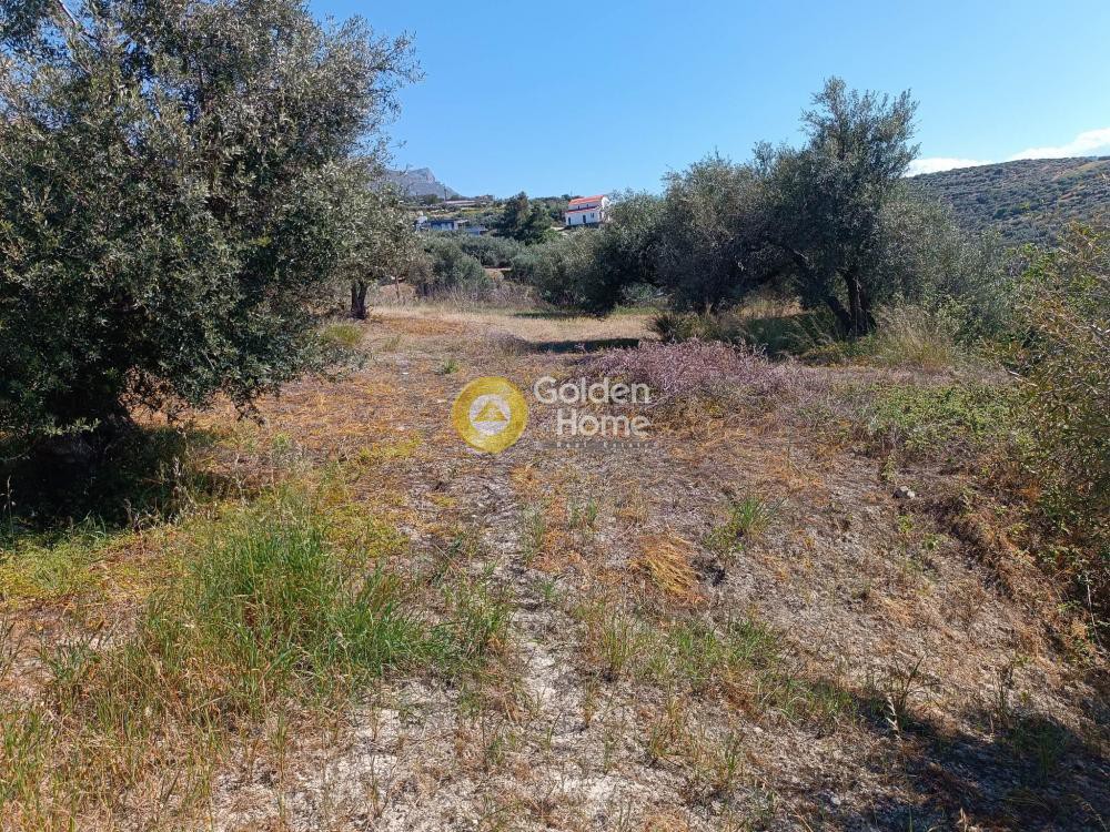 Οικόπεδο 1.500 τ.μ. προς πώληση, Βασιλείες