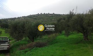 Οικόπεδο 4.259 τ.μ. για πώληση