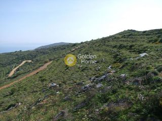 Αγροτεμάχια 4.000 τ.μ. για πώληση