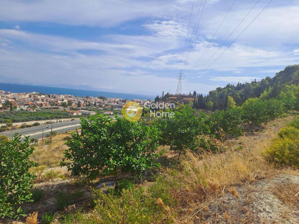 Οικόπεδο 4.217 τ.μ. προς πώληση, Μερτικαίικα