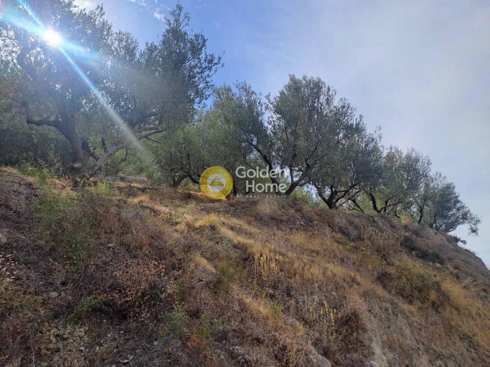 Οικόπεδο 4.217 τ.μ. προς πώληση, Μερτικαίικα