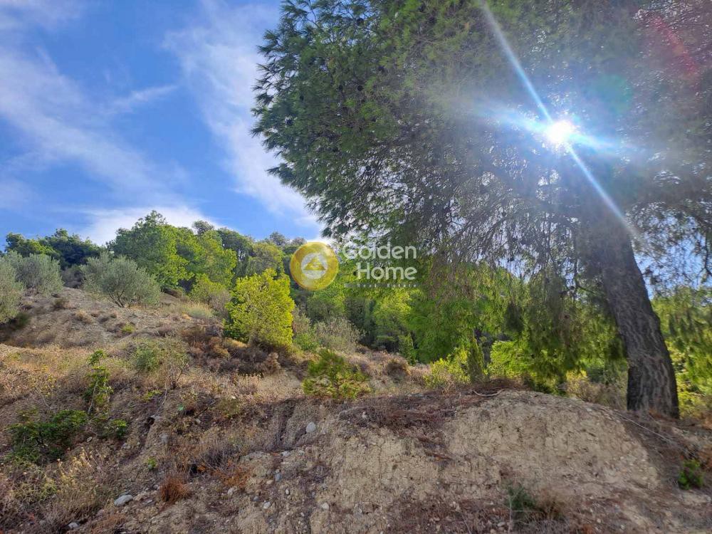 Οικόπεδο 4.217 τ.μ. προς πώληση, Μερτικαίικα