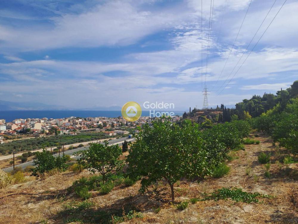 Οικόπεδο 4.217 τ.μ. προς πώληση, Μερτικαίικα