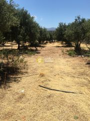 Οικόπεδο 11.282 τ.μ. για πώληση