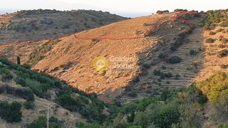 Αγροτεμάχια 32.129 τ.μ. για πώληση