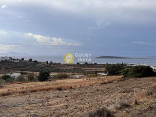 Αγροτεμάχια 8.896 τ.μ. για πώληση