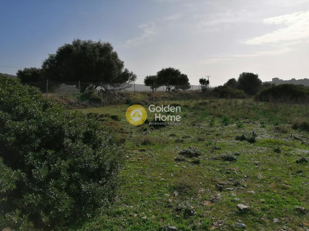 Αγροτεμάχια 9.534 τ.μ. προς ενοικίαση, Αθήνα - Ανατολικά Προάστια, Κορωπί