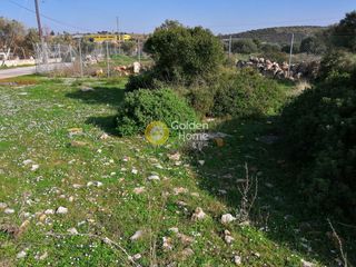 Αγροτεμάχια 9.534 τ.μ. για ενοικίαση