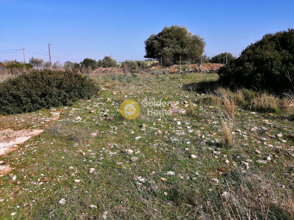 Αγροτεμάχια 9.534 τ.μ. προς ενοικίαση, Αθήνα - Ανατολικά Προάστια, Κορωπί