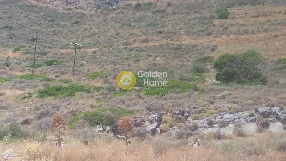 Οικόπεδο 25.479 τ.μ. προς πώληση, Γέφυρα Μονεμβασιάς
