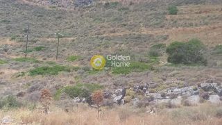Οικόπεδο 25.479 τ.μ. για πώληση