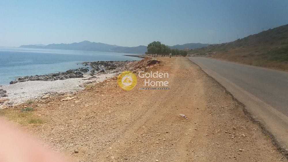 Οικόπεδο 25.479 τ.μ. προς πώληση, Γέφυρα Μονεμβασιάς