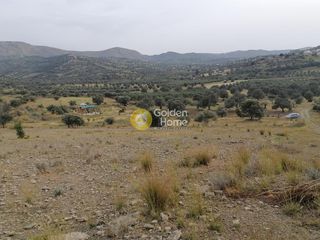 Αγροτεμάχια 3.750 τ.μ. προς πώληση, Σίβας-thumb-9