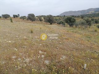 Αγροτεμάχια 3.750 τ.μ. προς πώληση, Σίβας-thumb-14