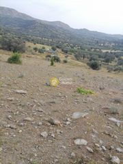 Αγροτεμάχια 3.750 τ.μ. προς πώληση, Σίβας-thumb-6
