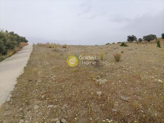 Αγροτεμάχια 3.750 τ.μ. προς πώληση, Σίβας-thumb-13