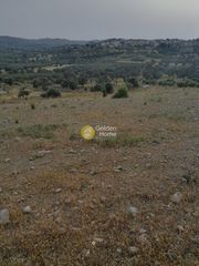 Αγροτεμάχια 3.750 τ.μ. προς πώληση, Σίβας-thumb-5