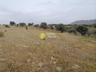 Αγροτεμάχια 3.750 τ.μ. προς πώληση, Σίβας-thumb-12
