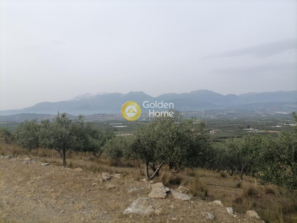 Αγροτεμάχια 3.750 τ.μ. προς πώληση, Σίβας
