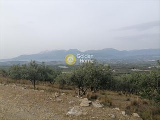 Αγροτεμάχια 3.750 τ.μ. προς πώληση, Σίβας-thumb-3