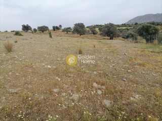 Αγροτεμάχια 3.750 τ.μ. προς πώληση, Σίβας-thumb-15