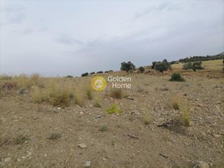 Αγροτεμάχια 3.750 τ.μ. προς πώληση, Σίβας-thumb-10