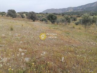 Αγροτεμάχια 3.750 τ.μ. προς πώληση, Σίβας-thumb-16