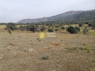Αγροτεμάχια 3.750 τ.μ. προς πώληση, Σίβας-thumb-11