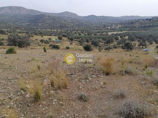 Αγροτεμάχια 3.750 τ.μ. προς πώληση, Σίβας-thumb-2