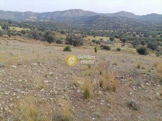 Αγροτεμάχια 3.750 τ.μ. προς πώληση, Σίβας-thumb-1
